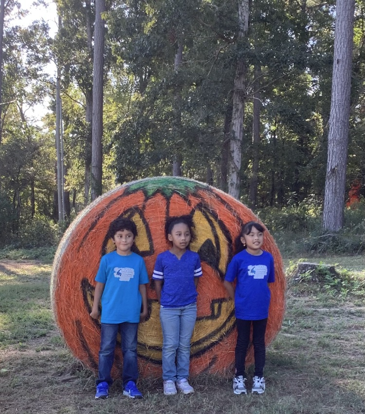 Piney Park 