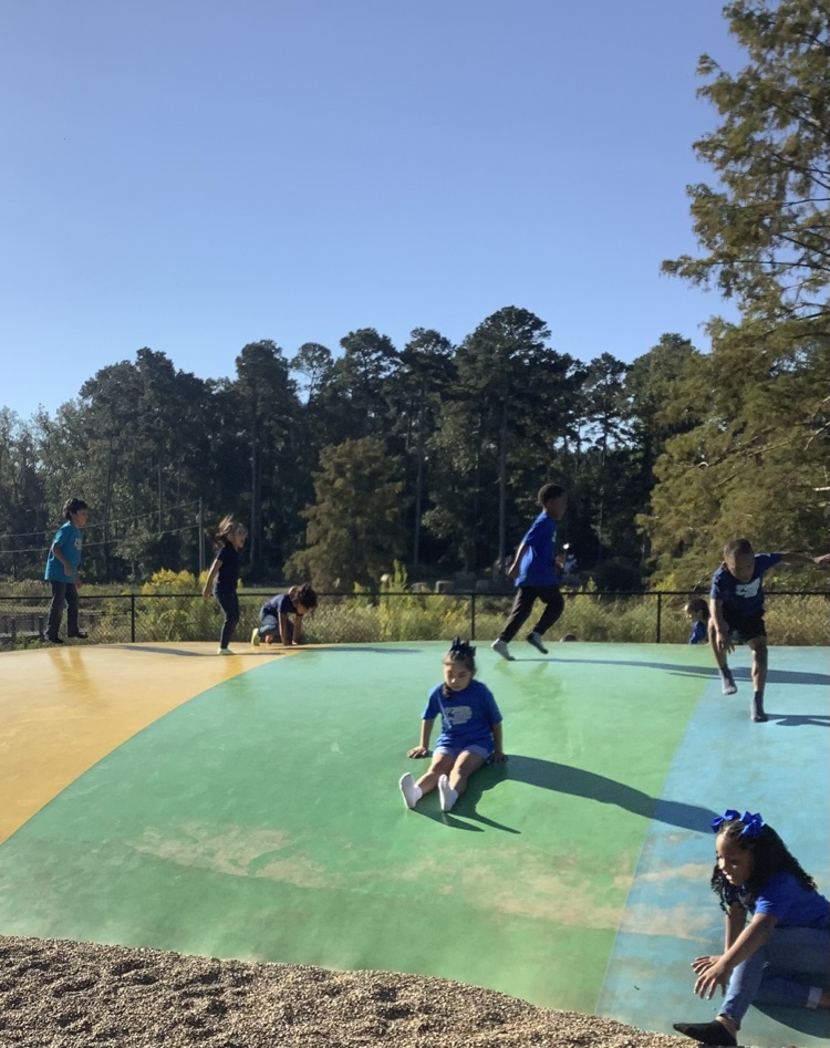 Piney Park 