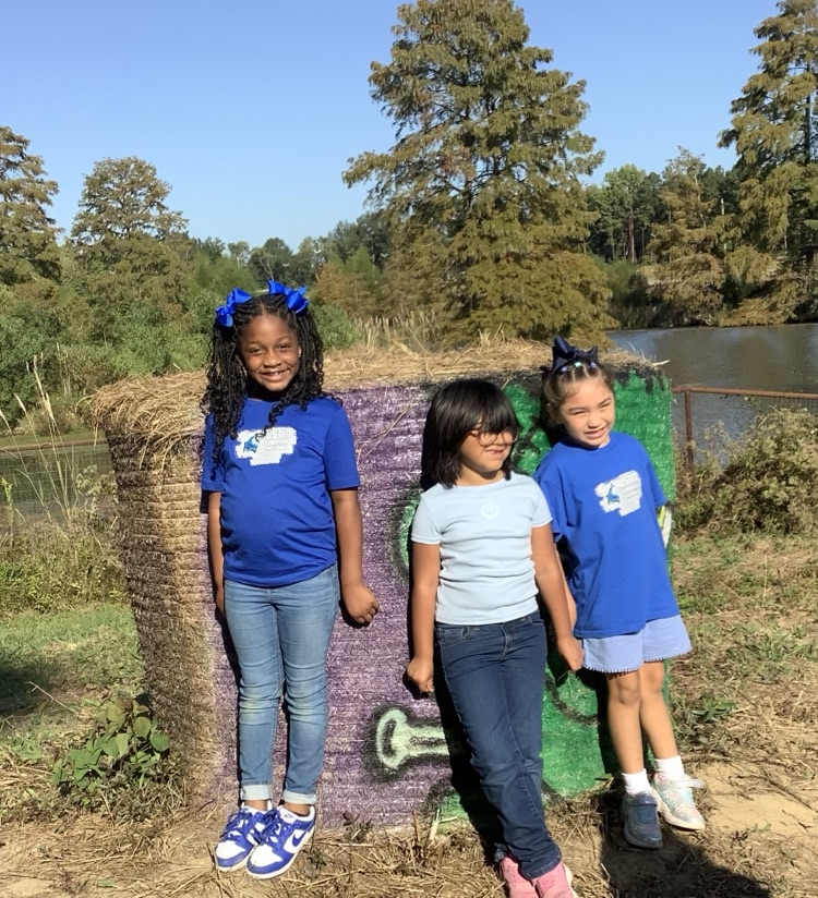 Piney Park 