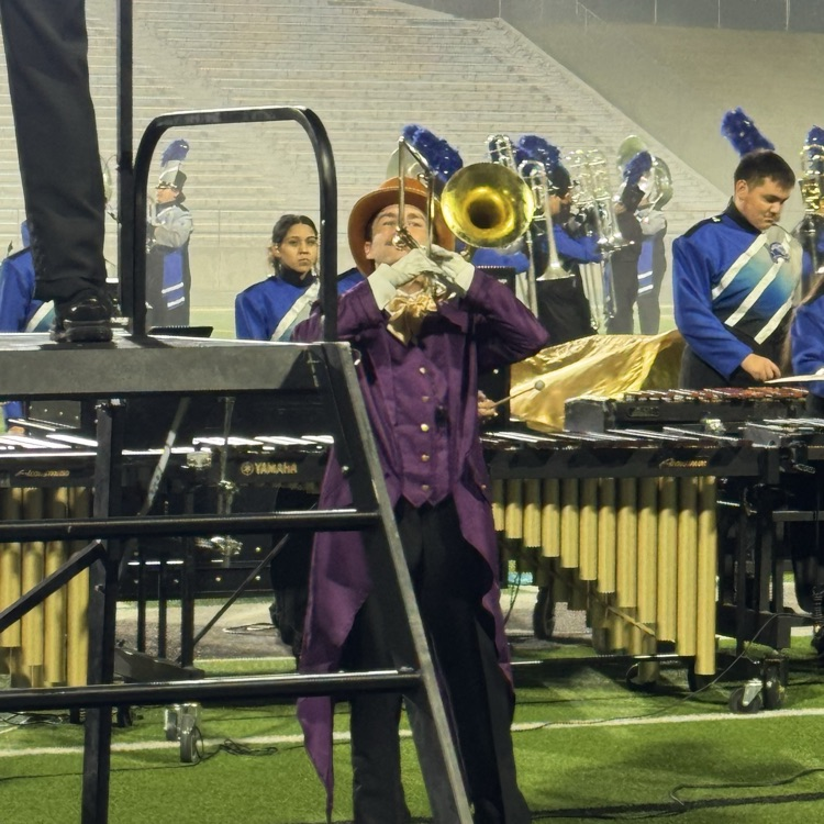 person playing instrument 
