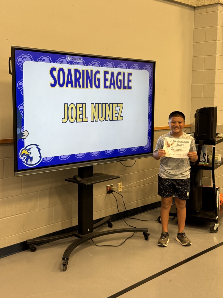 Soaring Eagle Award