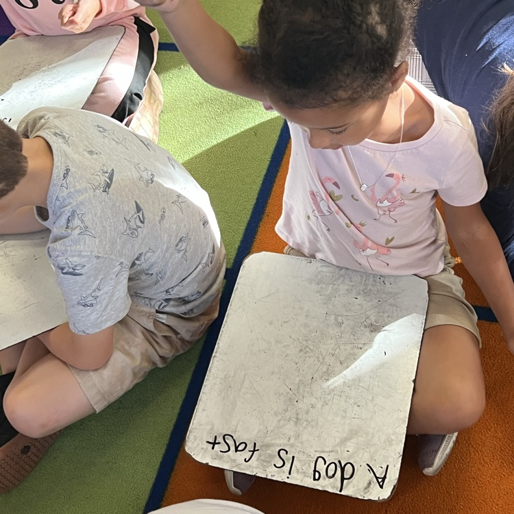 kindergarten students working on writing full sentences with whiteboards and markers
