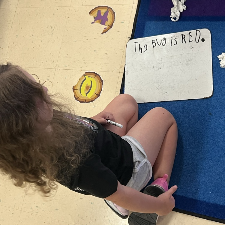 kindergarten students working on writing full sentences with whiteboards and markers