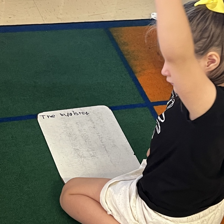 kindergarten students working on writing full sentences with whiteboards and markers