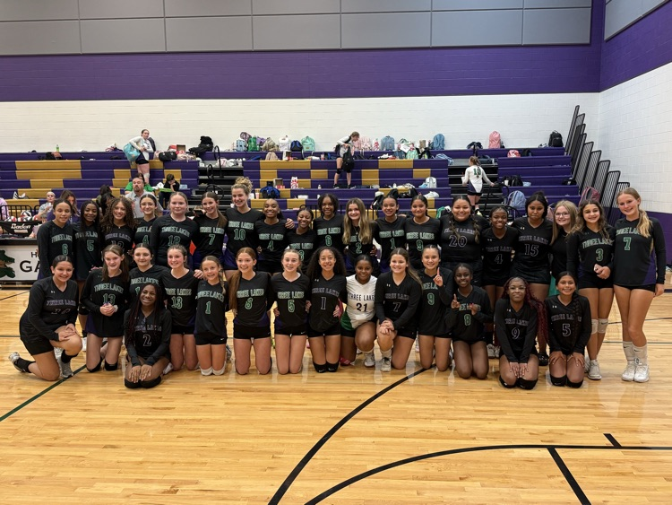 home volleyball game 