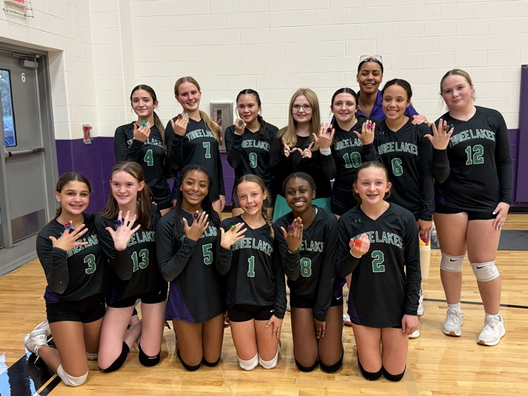 home volleyball game 