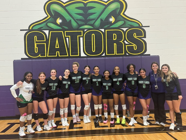 home volleyball game 