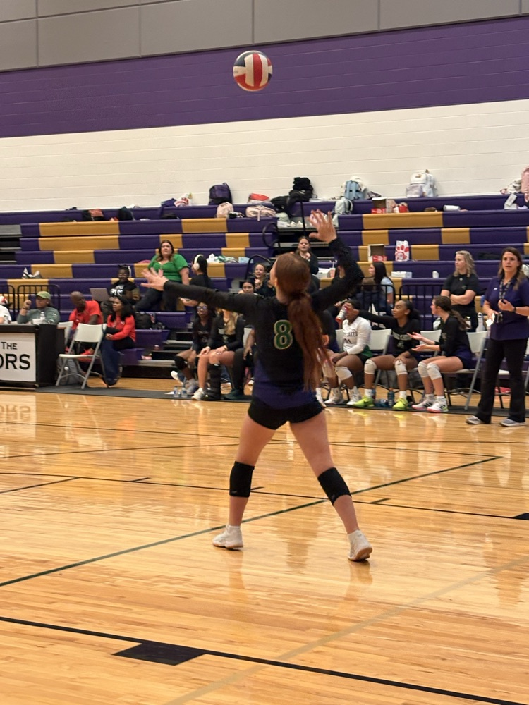 home volleyball game 