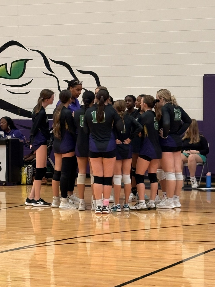 home volleyball game 