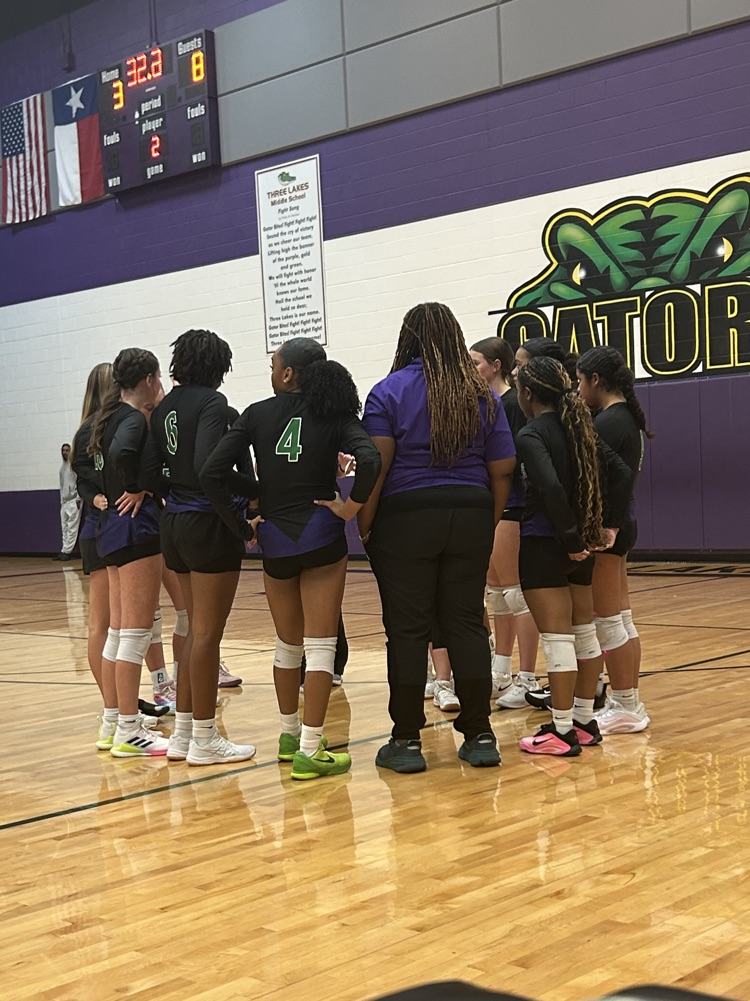 home volleyball game 