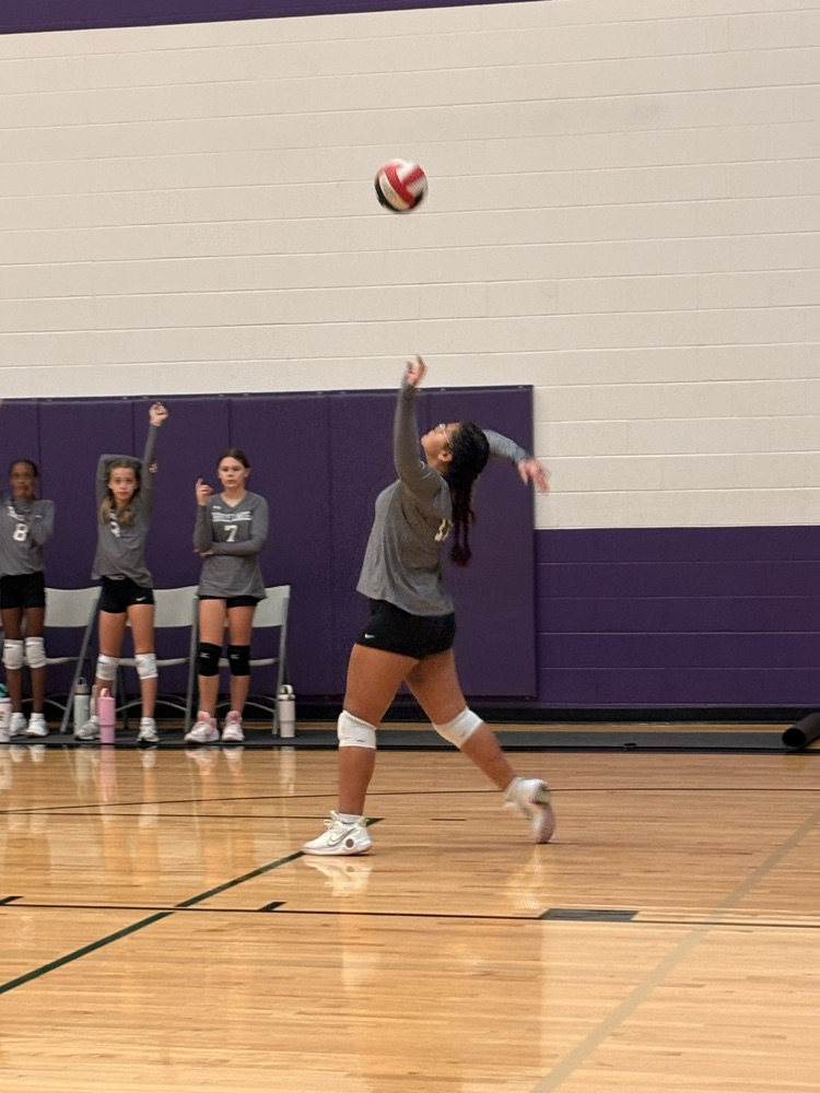 home volleyball game 