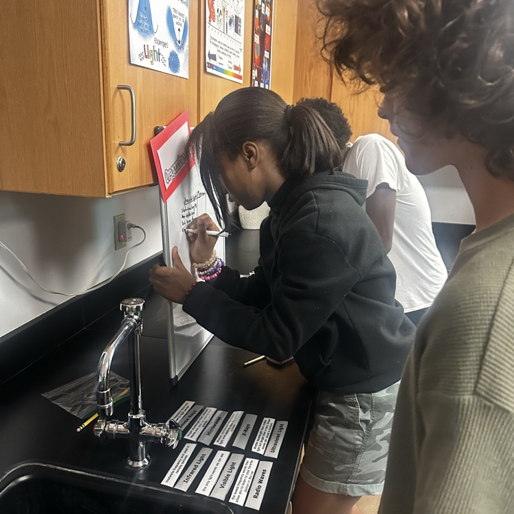 students doing lab stations