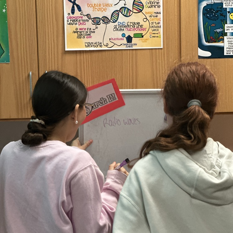 students doing lab stations