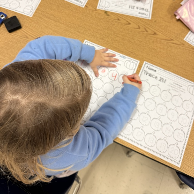 Student tracing pumpkin numbers 1 to 20