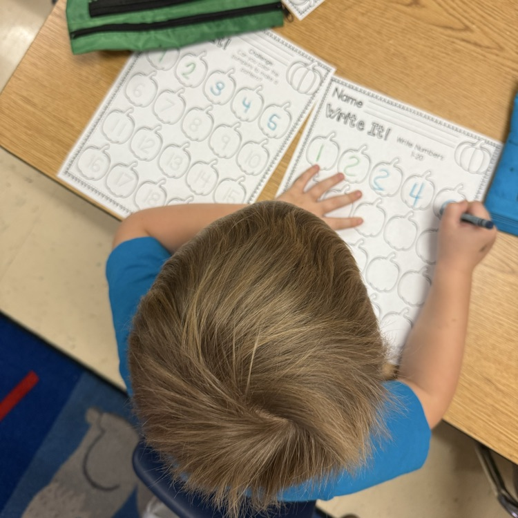 Student tracing pumpkin number 1 to 20