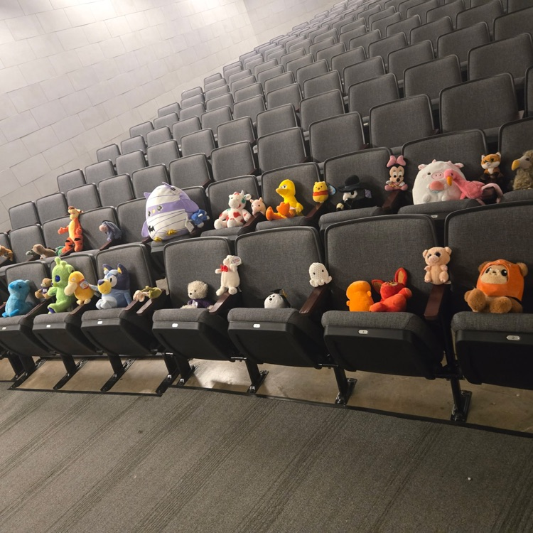 theatre chairs with stuffed animals in them
