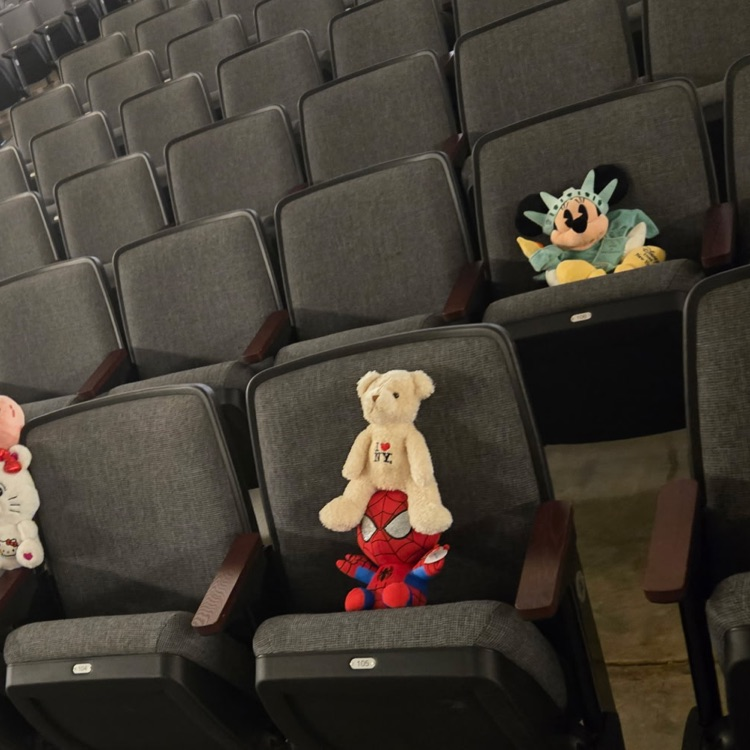 theatre chairs with stuffed animals in them