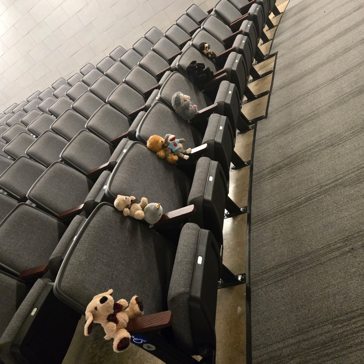 theatre chairs with stuffed animals in the