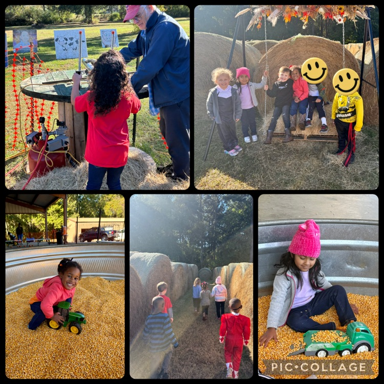 pre-k students at a pumpkin patch shooting a potato gun, going on a hay ride, playing in corn, and going down a slide