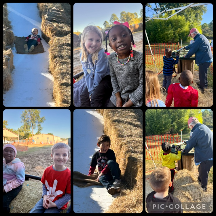 pre-k students at a pumpkin patch shooting a potato gun, going on a hay ride, playing in corn, and going down a slide