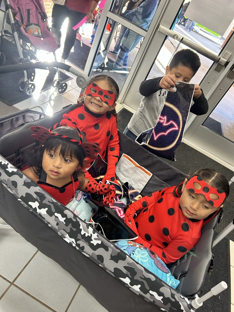 Fall Fest Highlights