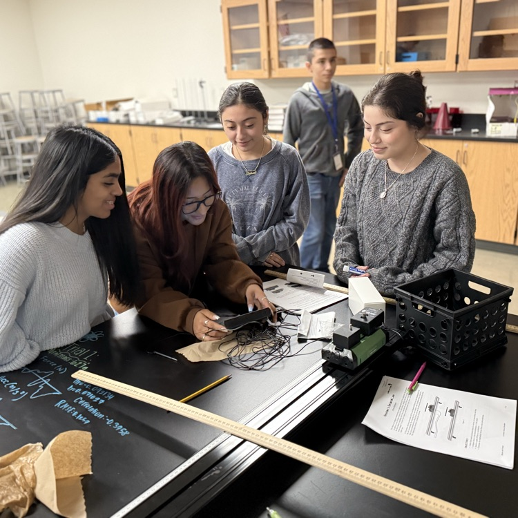 students doing an experiment