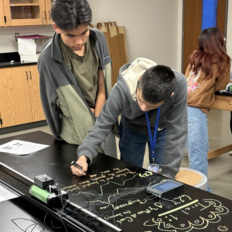 students doing an experiment
