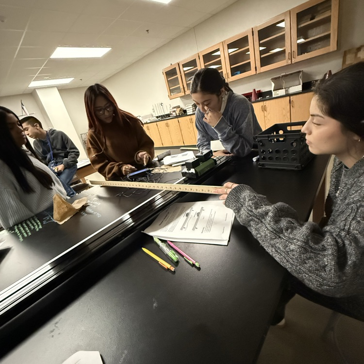 students doing an experiment
