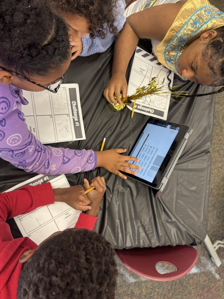 fear factor room transformation