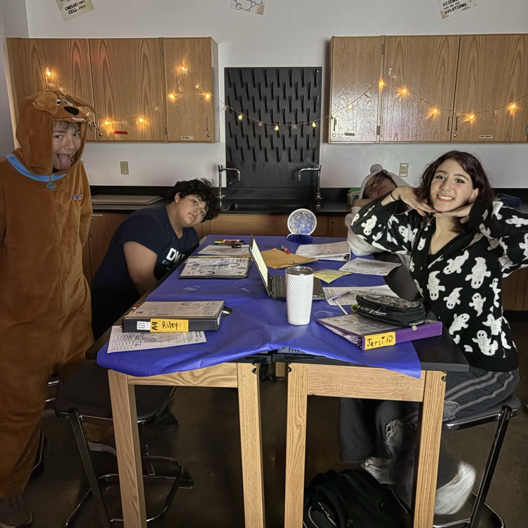 students completing a science activity 