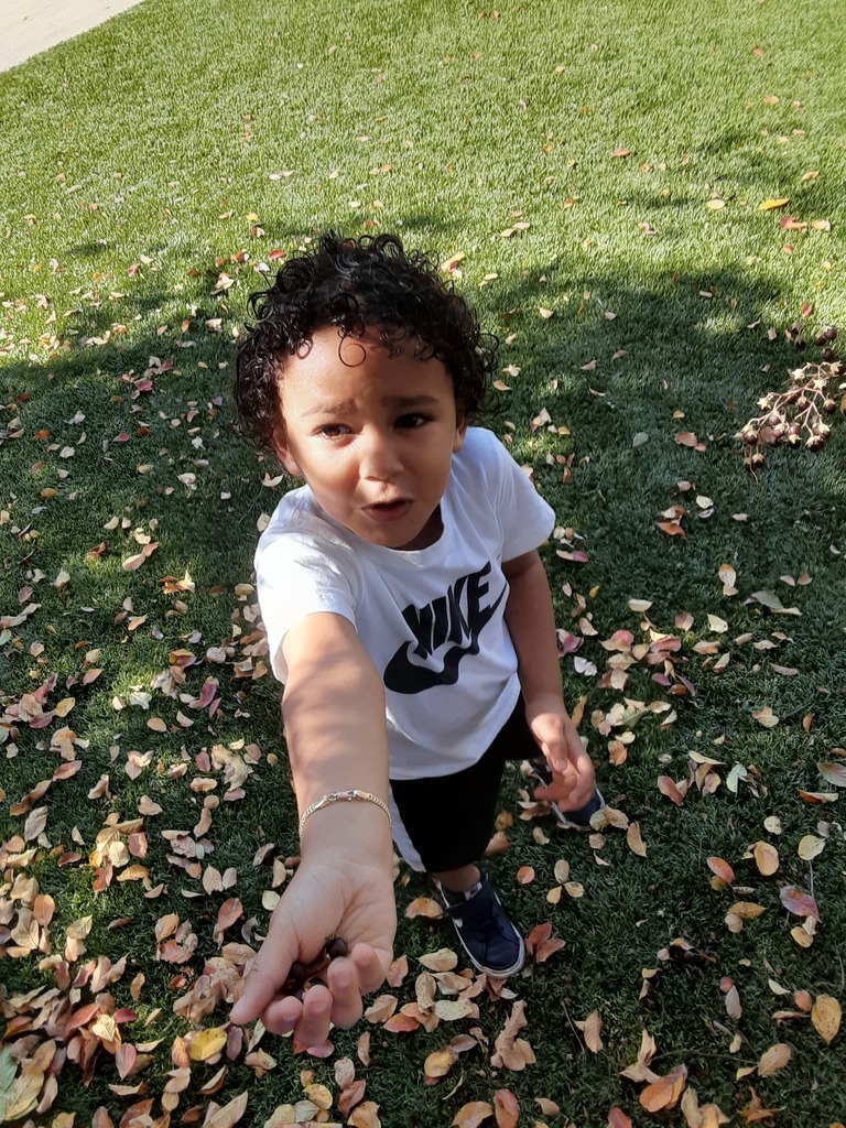 Child holding berries 