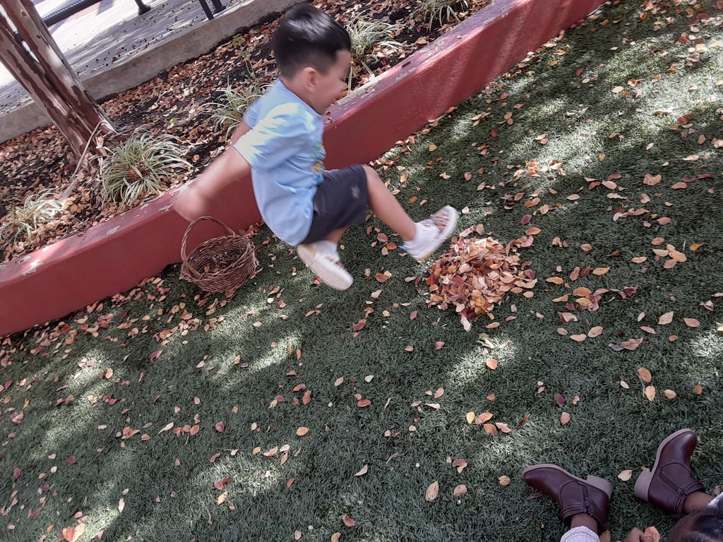 Child jumping in leaves