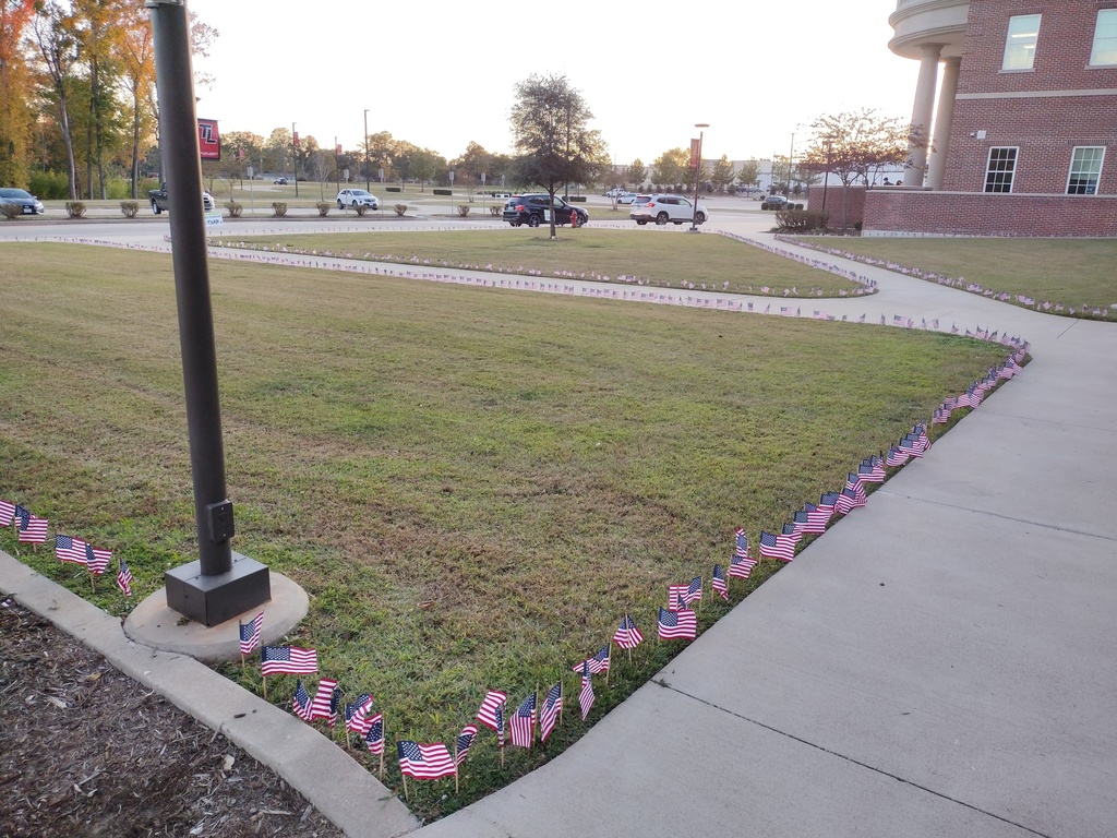 Members of Rho Kappa Social Studies Honor Society (and other willing students) stayed after school yesterday and planted hundreds of flags to honor our US Military Veterans this Veterans Day! Thanks to the members of all military branches!  