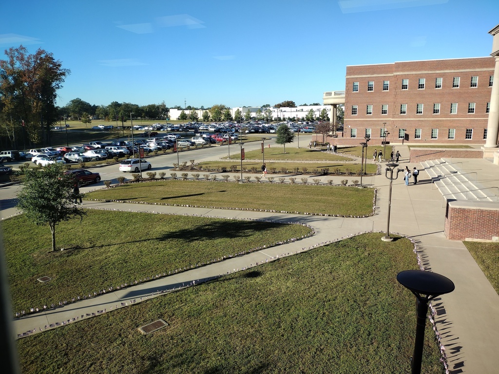 Members of Rho Kappa Social Studies Honor Society (and other willing students) stayed after school yesterday and planted hundreds of flags to honor our US Military Veterans this Veterans Day! Thanks to the members of all military branches!  