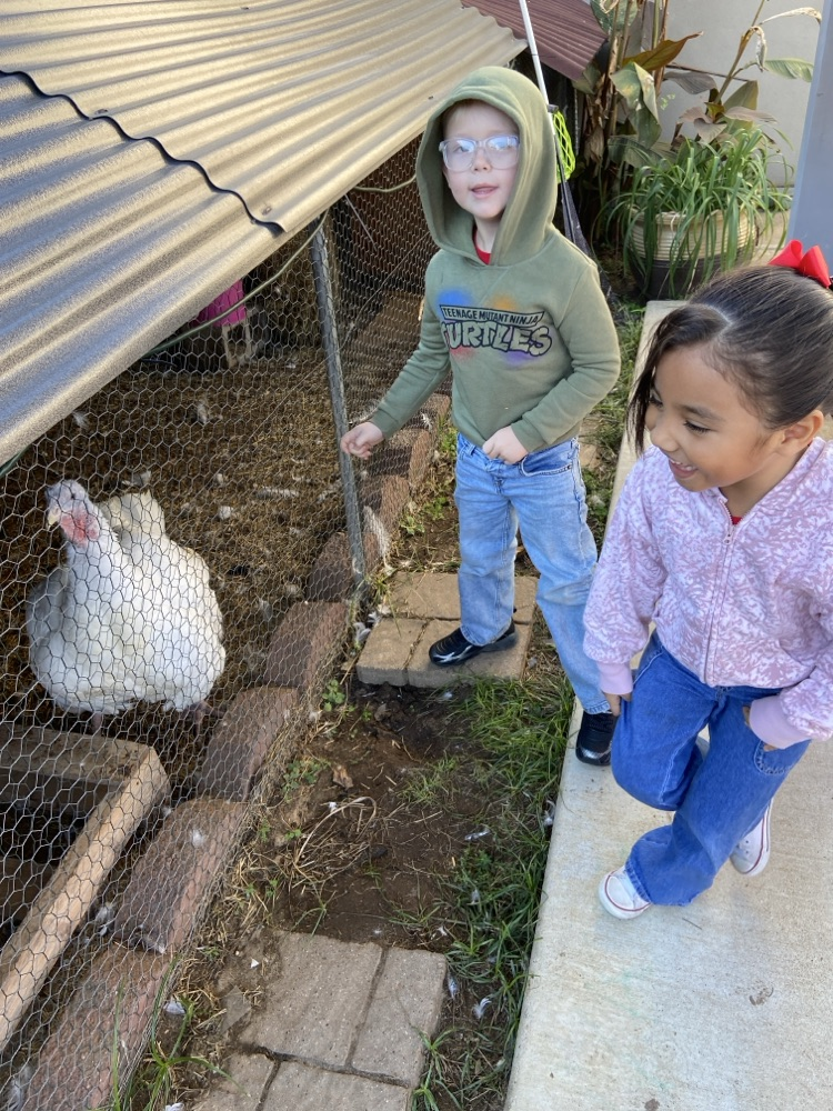 Kids exploring interactive exhibits.