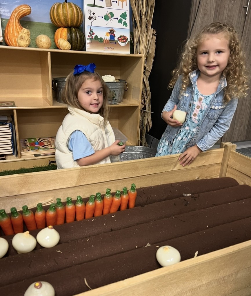 Students on a field trip.