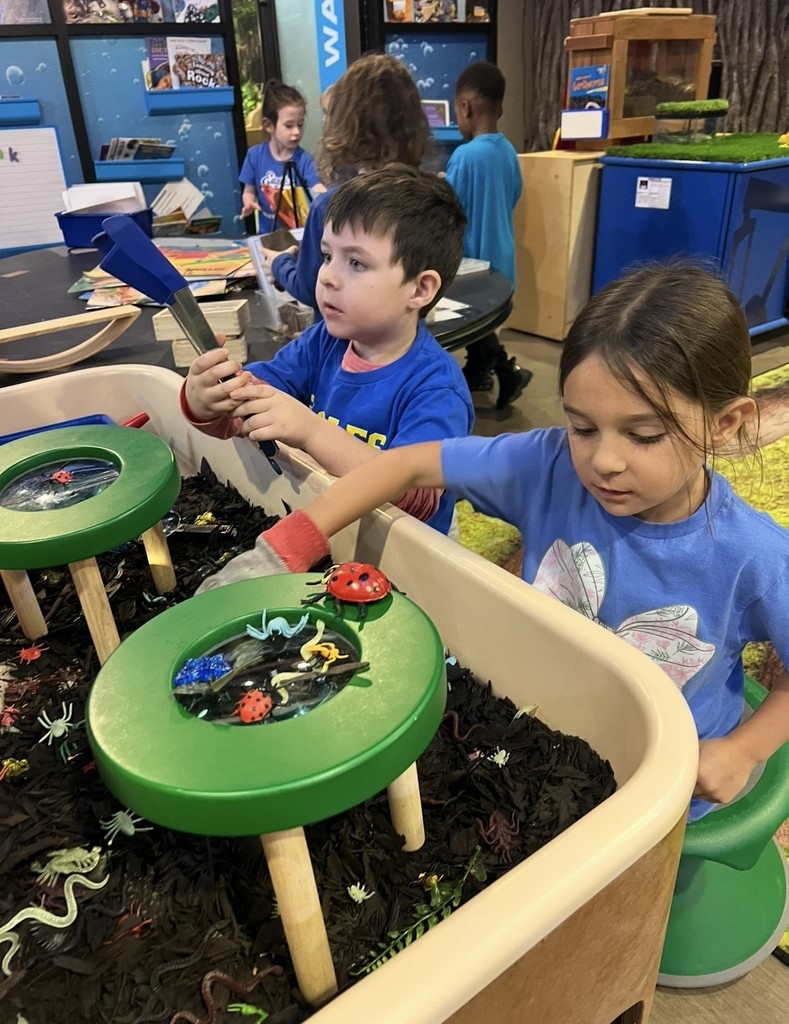 Students exploring textures. 