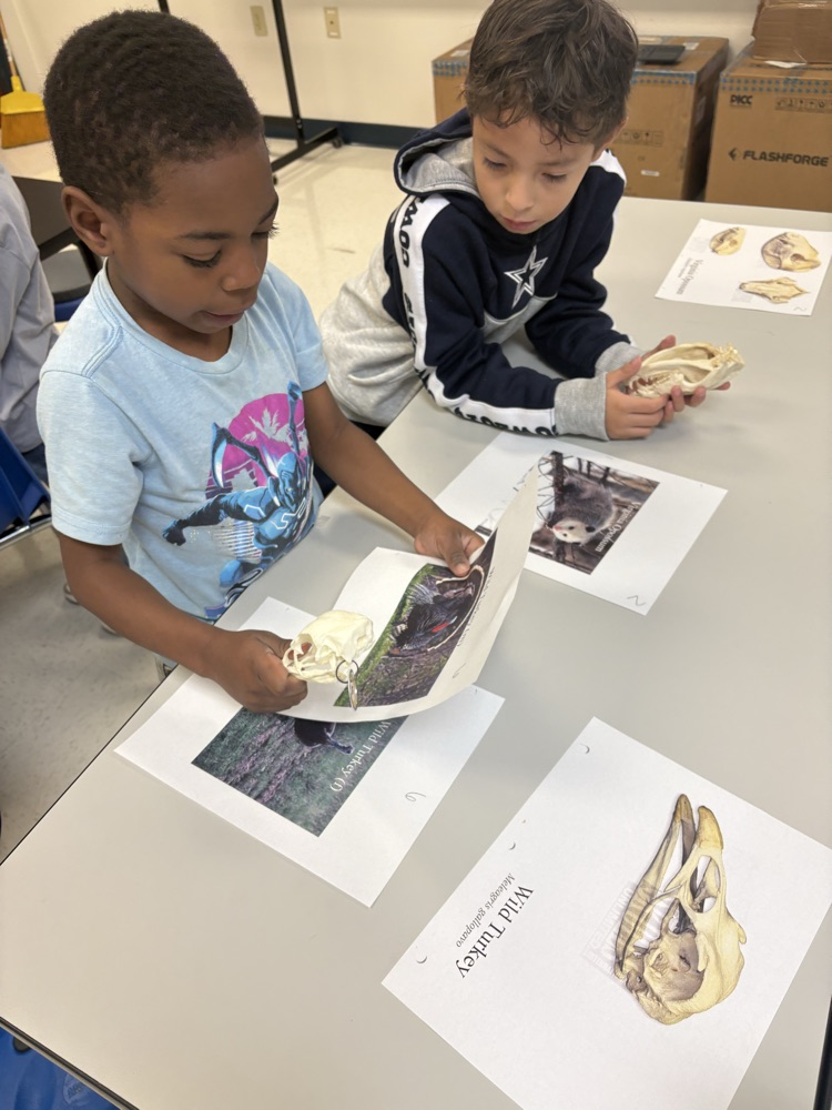 Library Wildlife Museum 