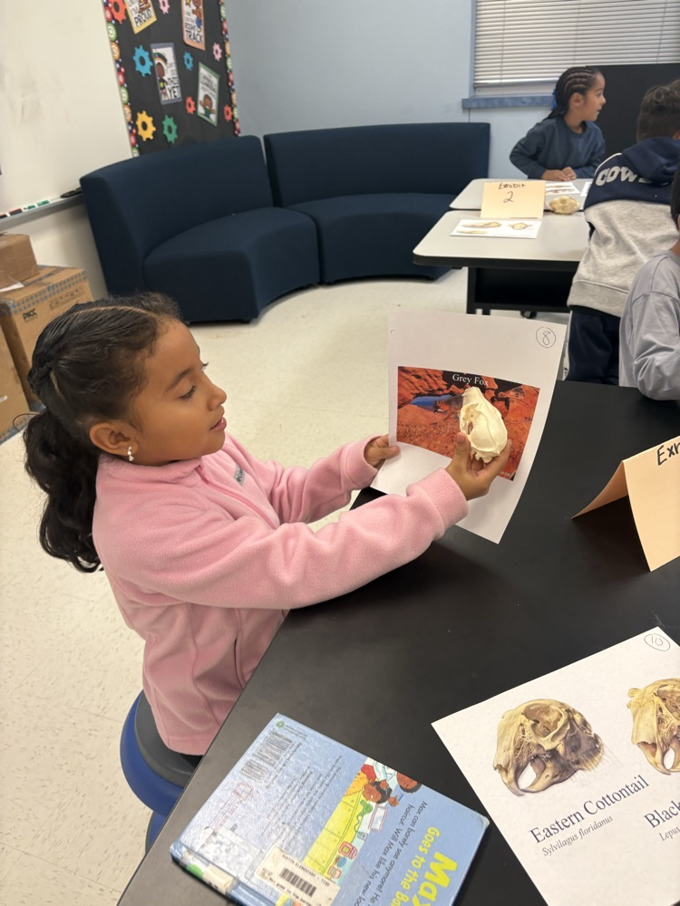 Library Wildlife Museum 