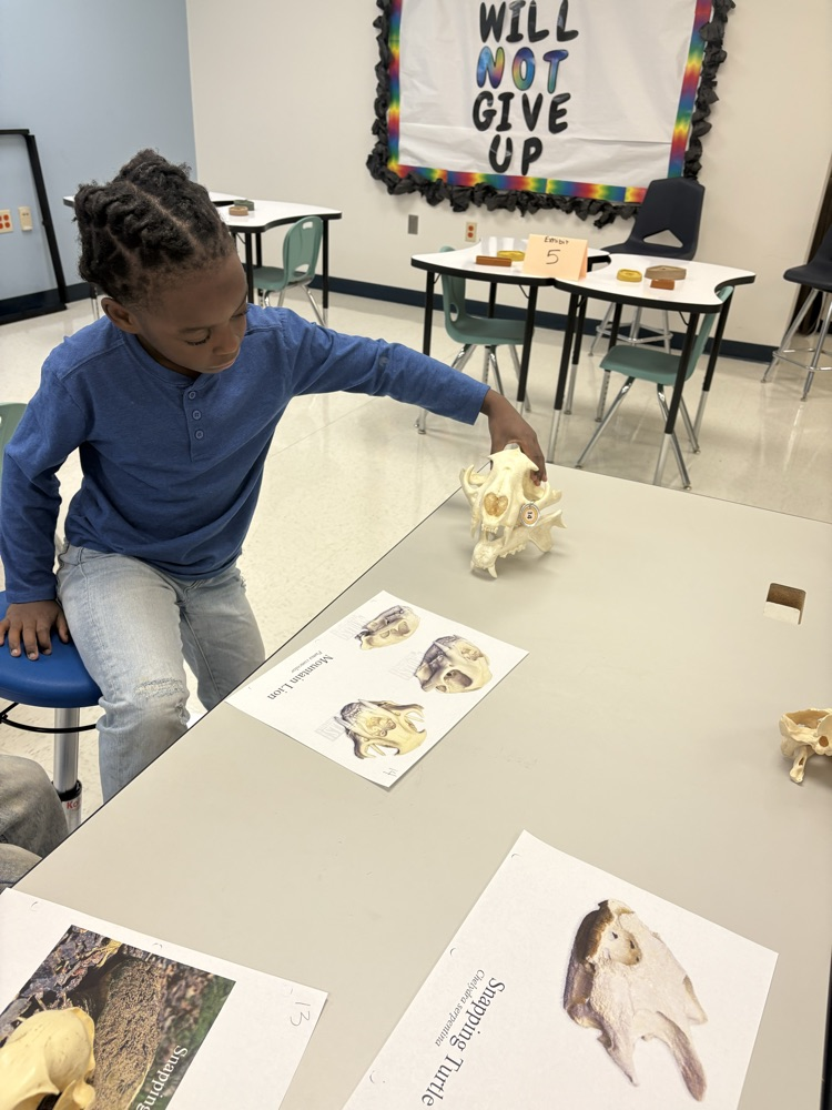 Library Wildlife Museum 