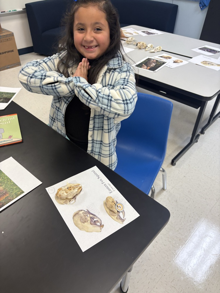 Library Wildlife Museum 