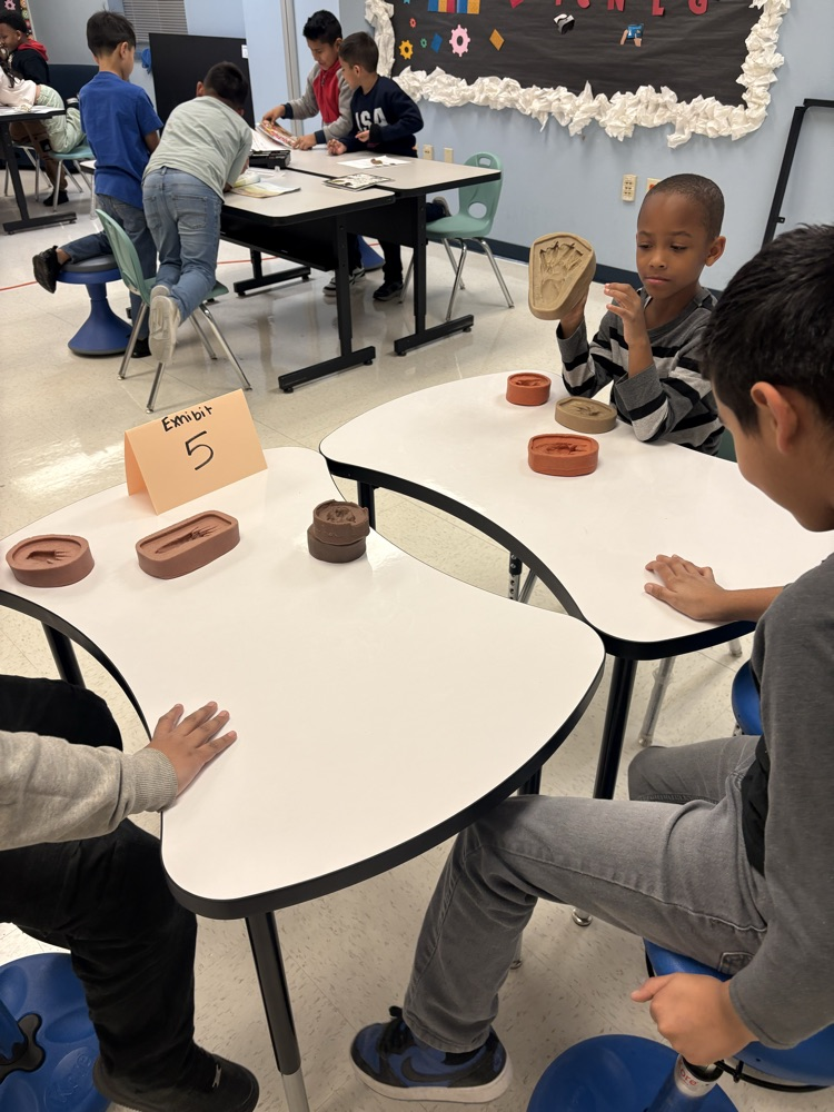 Library Wildlife Museum 