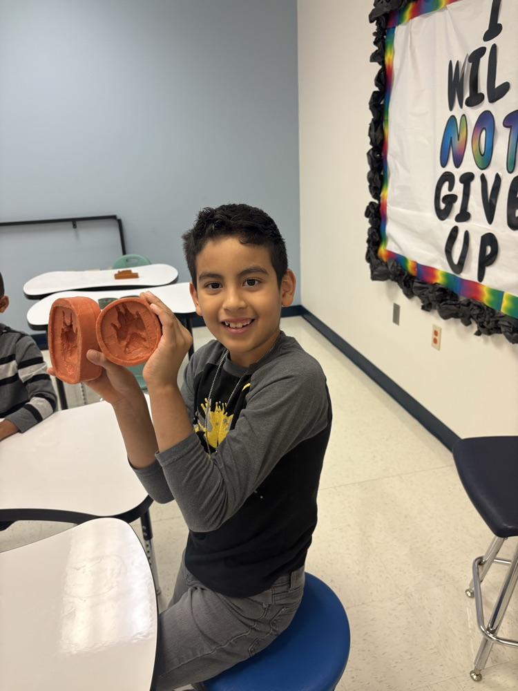 Library Wildlife Museum 