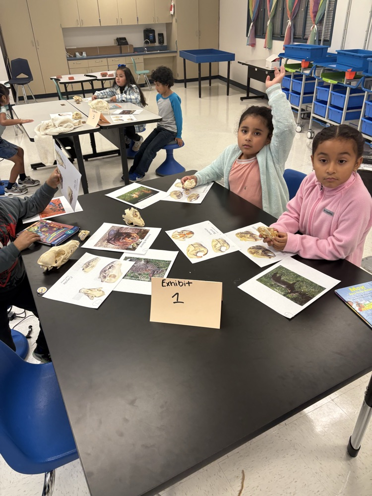 Library Wildlife Museum 