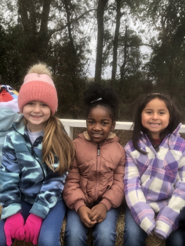 Students on a field trip.