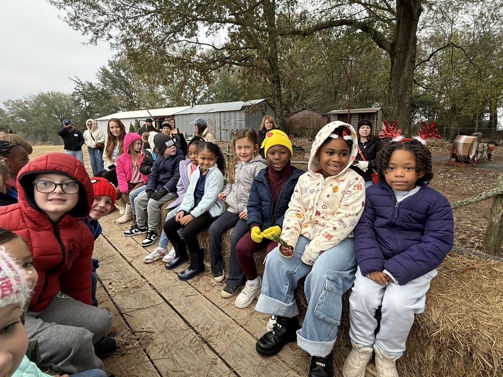 Students on a field trip.