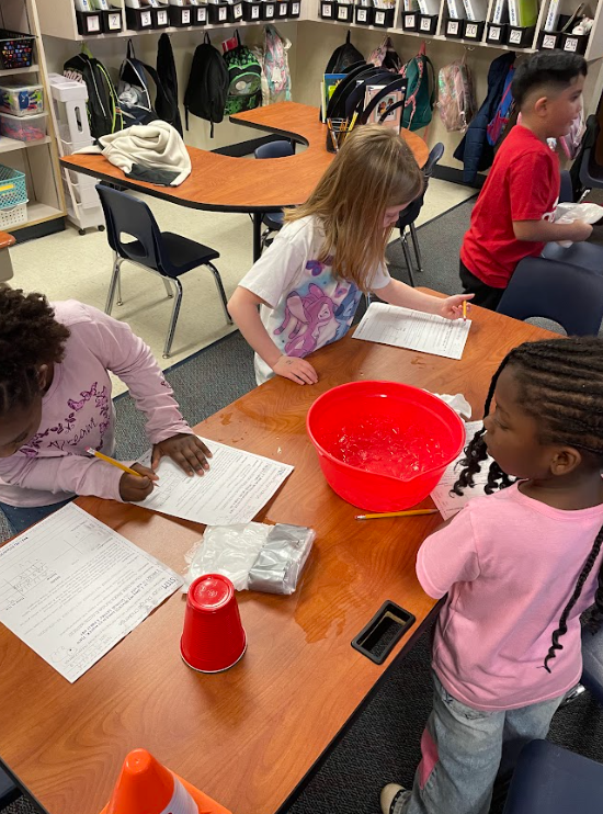 Students got hands-on by experiencing ice water to better understand how Arctic animals use special features—like thick fur and blubber—to stay warm.