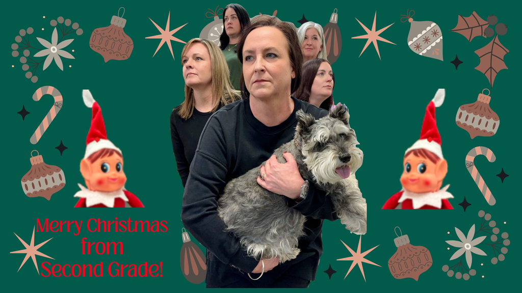 Teachers posing for Christmas picture.