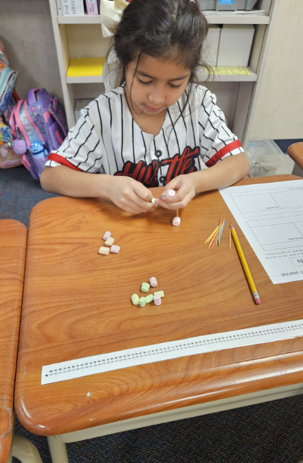 Students built, explored, and identified three-dimensional figures while strengthening their understanding of faces, edges, and vertices—all through hands-on learning.