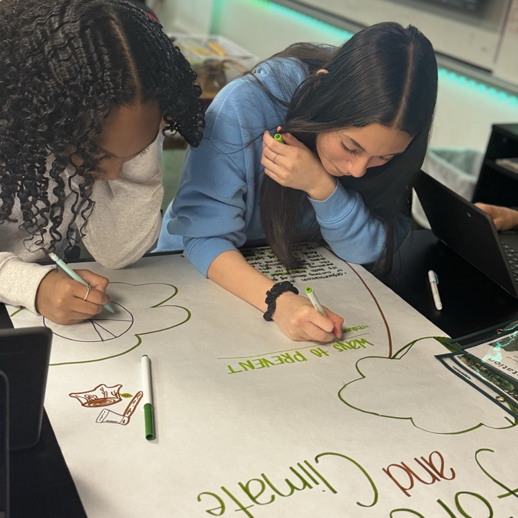 student collaboration on infographic posters over climate change